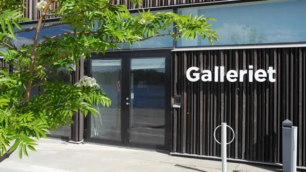 Konsthögskolans gallerientré med blommande rönn i förgrunden.