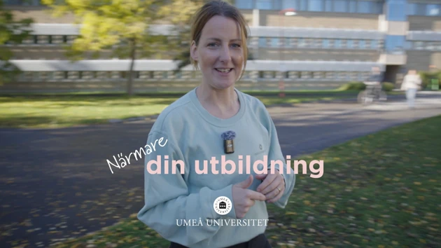 Video: Så fungerar det under dagen